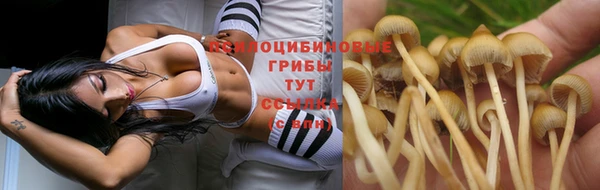 кокс Абаза