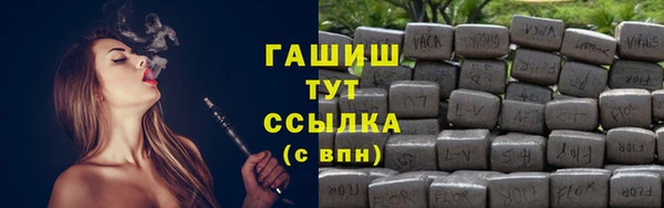 дурь Няндома