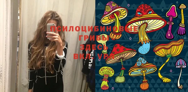 индика Абдулино