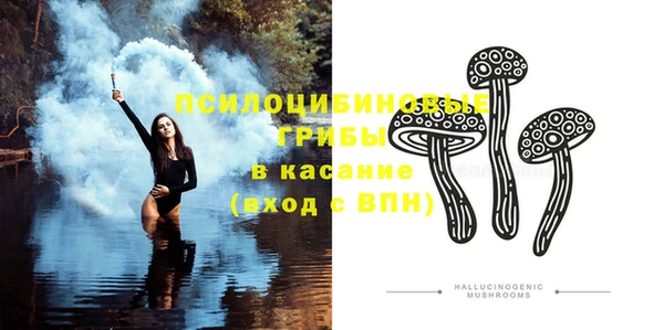 индика Абдулино