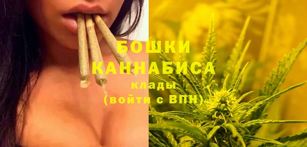дурь Няндома