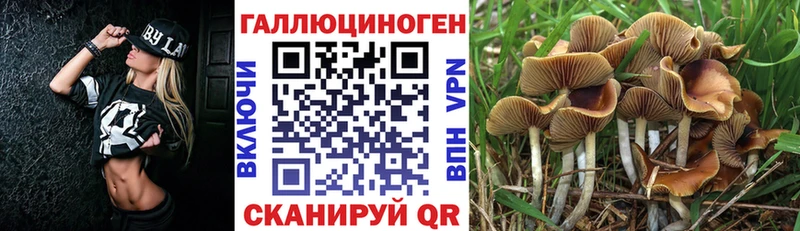 Галлюциногенные грибы GOLDEN TEACHER  Усть-Катав 